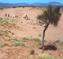 Students undertaking field survey near Hawker, Flinders Ranges, SA