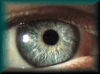 Optometry Home Page