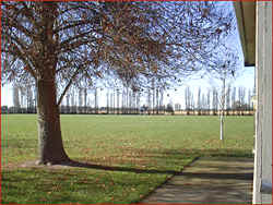 Playing fields as seen from outside P5