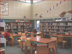 Students study in the Library