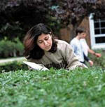 Girl studying on grass