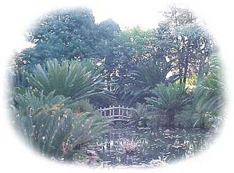  Enter the Botanical Garden 