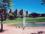 University of Johannesburg photograph.  Copyright ? 2000-2002. University of Johannesburg.  All rights reserved.