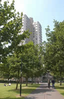 Photo showing the Attenborough Tower